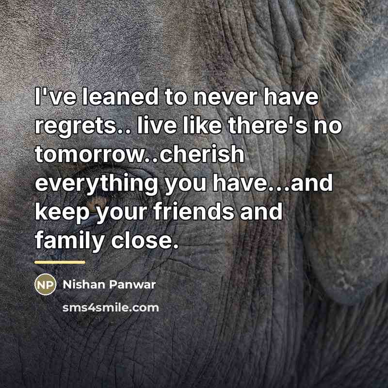 “I've leaned to never have regrets.. live like there's no…” quote by Nishan Panwar