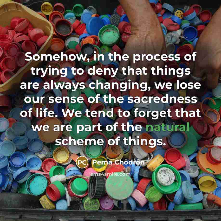 “Somehow, in the process of trying to deny that things…” quote by Pema Chodron