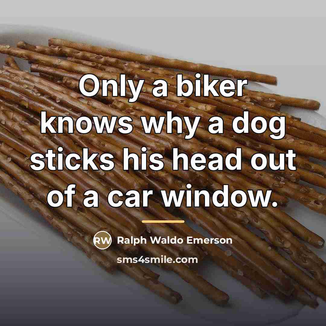 “Only a biker knows why a dog sticks his head…” quote by Ralph Waldo Emerson