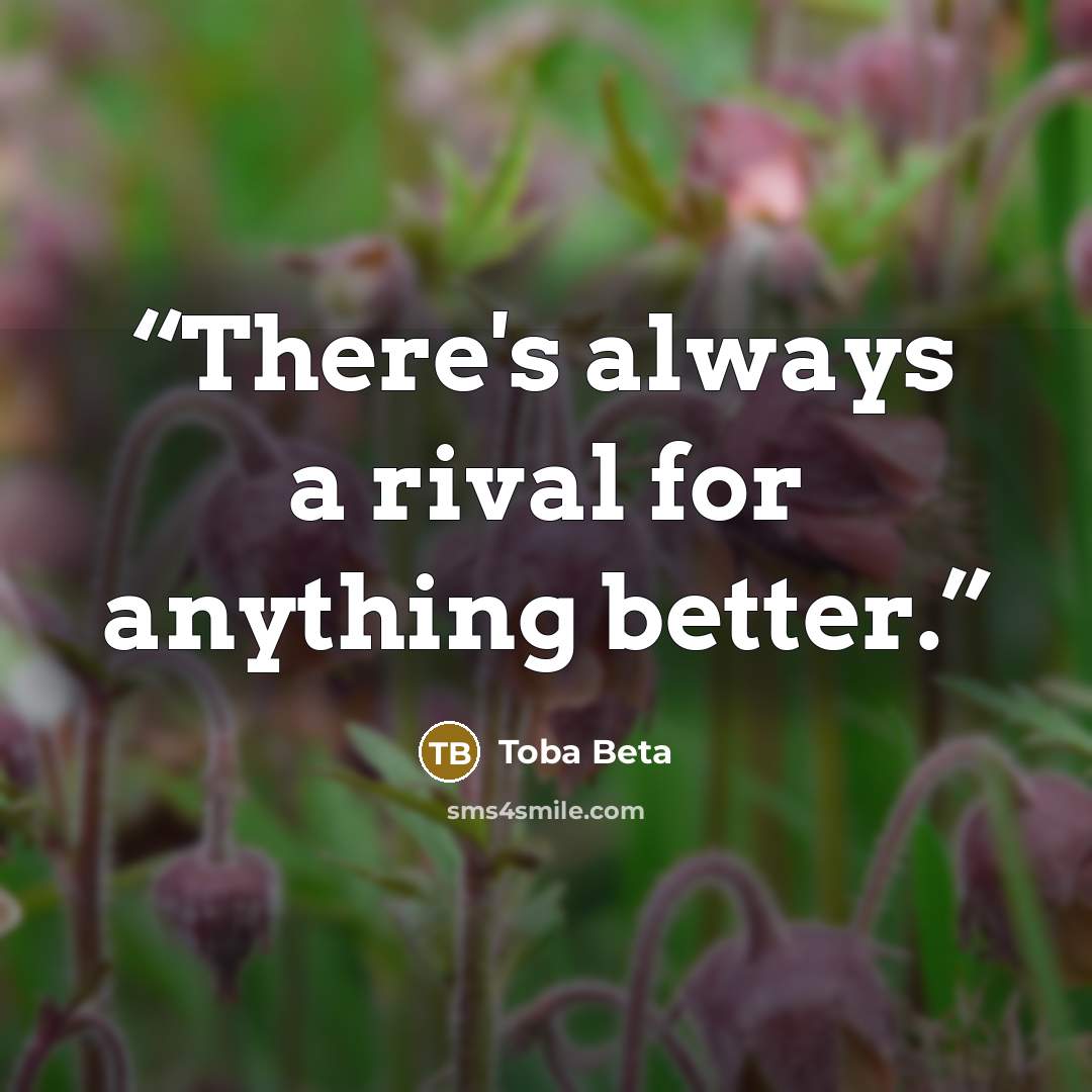 “There's always a rival for anything better.” quote by Toba Beta