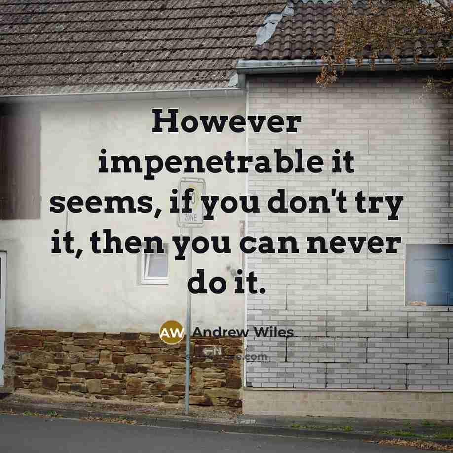 “However impenetrable it seems, if you don't try it, then…” quote by Andrew Wiles