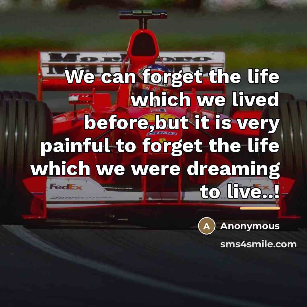 “We can forget the life which we lived before,but it…” quote by Anonymous