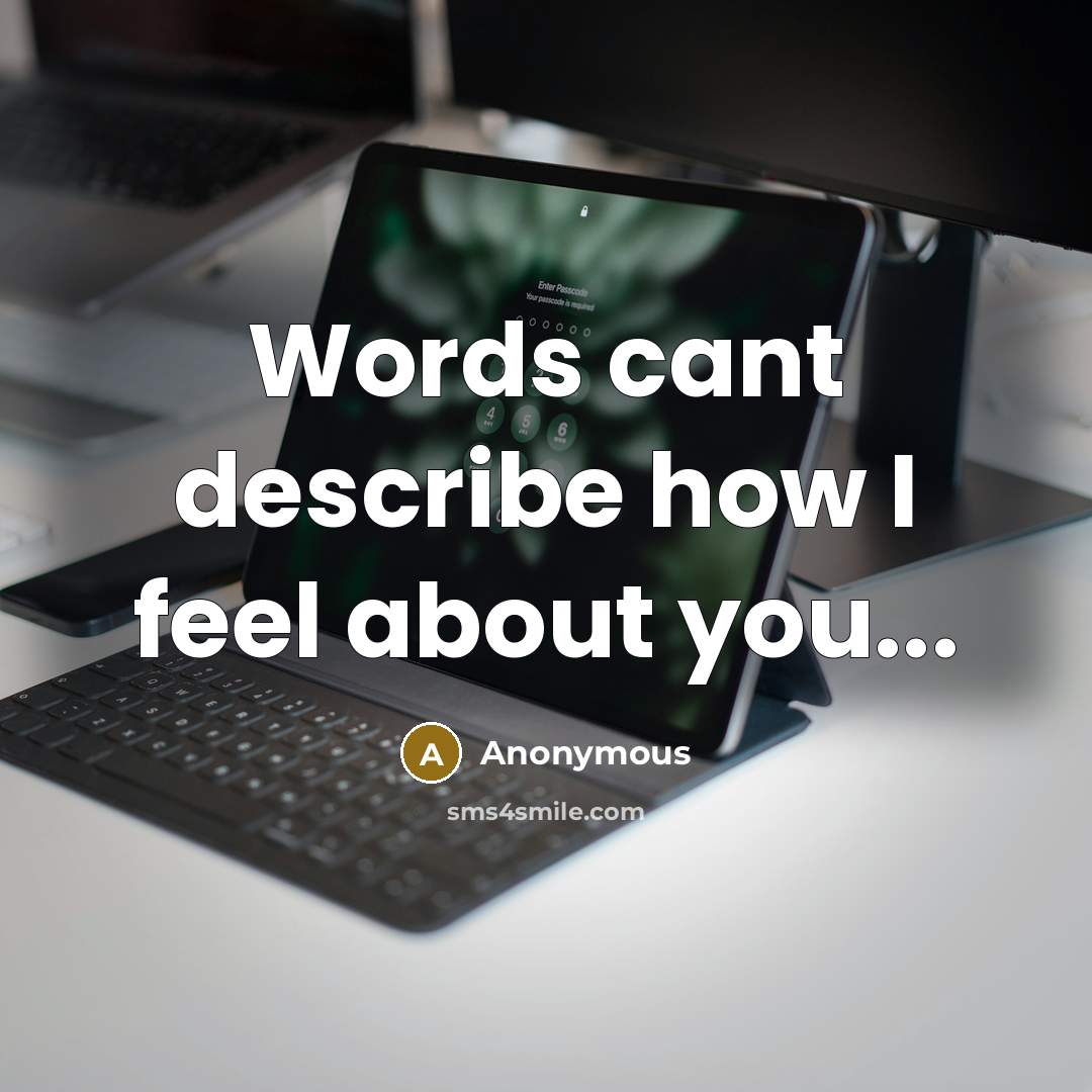“Words cant describe how I feel about you...…” quote by Anonymous