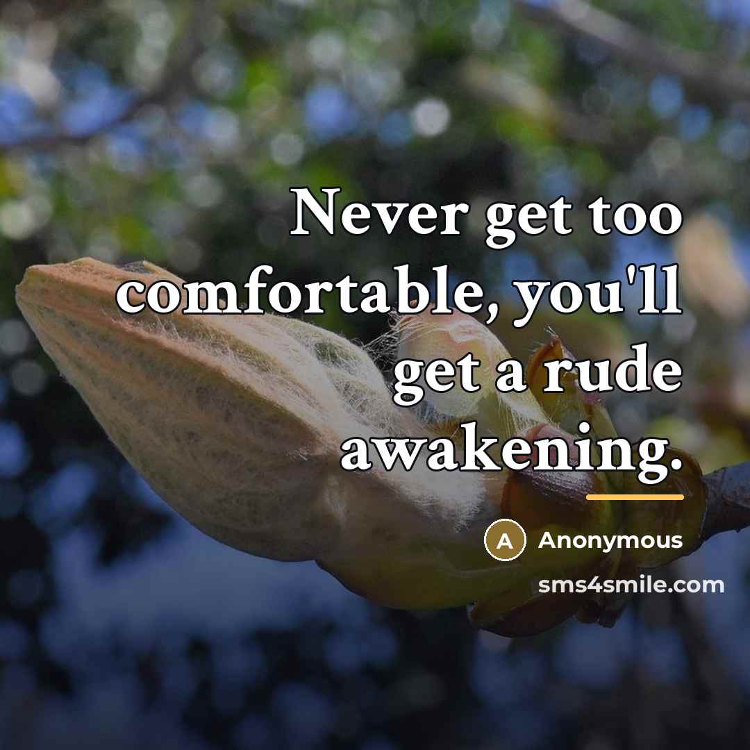 “Never get too comfortable, you'll get a rude awakening.…” quote by Anonymous