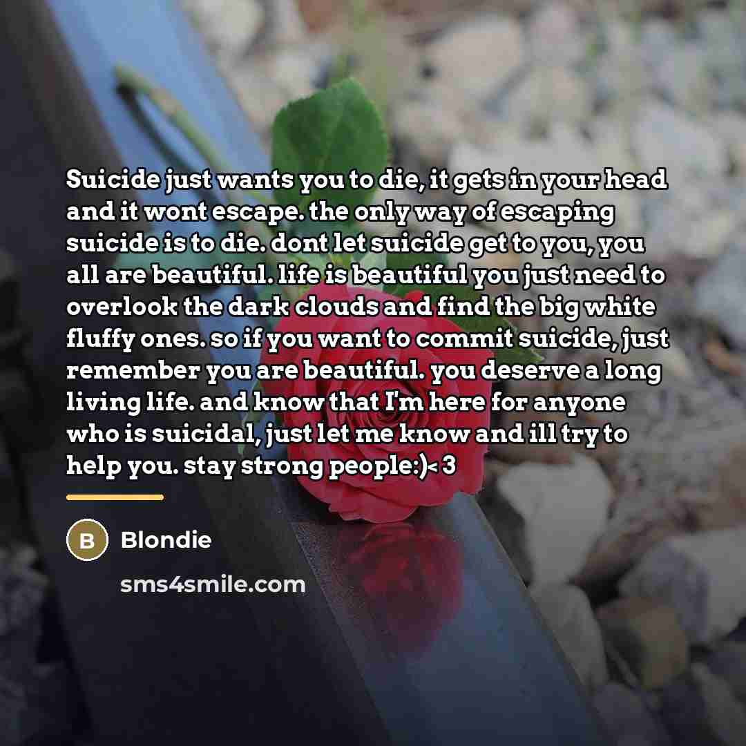 “Suicide just wants you to die, it gets in your…” quote by Blondie