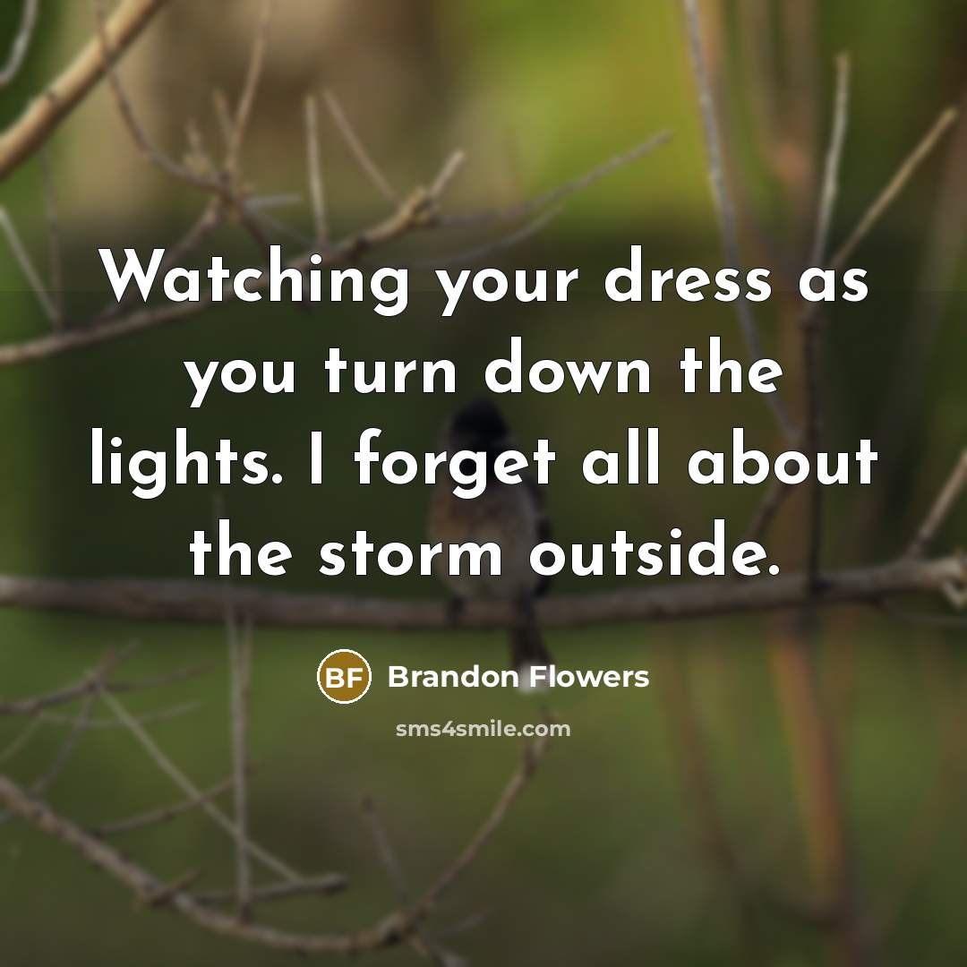 “Watching your dress as you turn down the lights. I…” quote by Brandon Flowers
