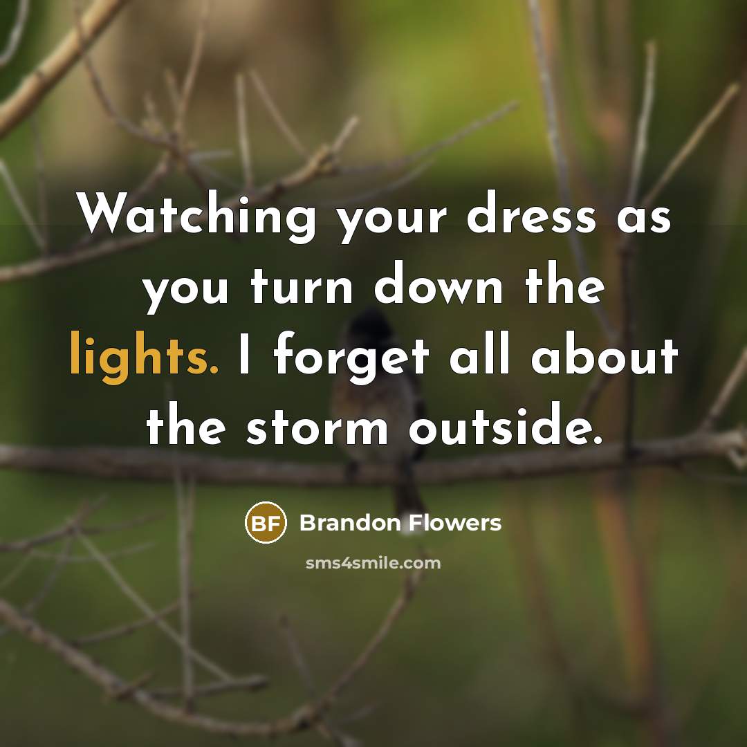 “Watching your dress as you turn down the lights. I forget all about the storm outside.” quote by Brandon Flowers