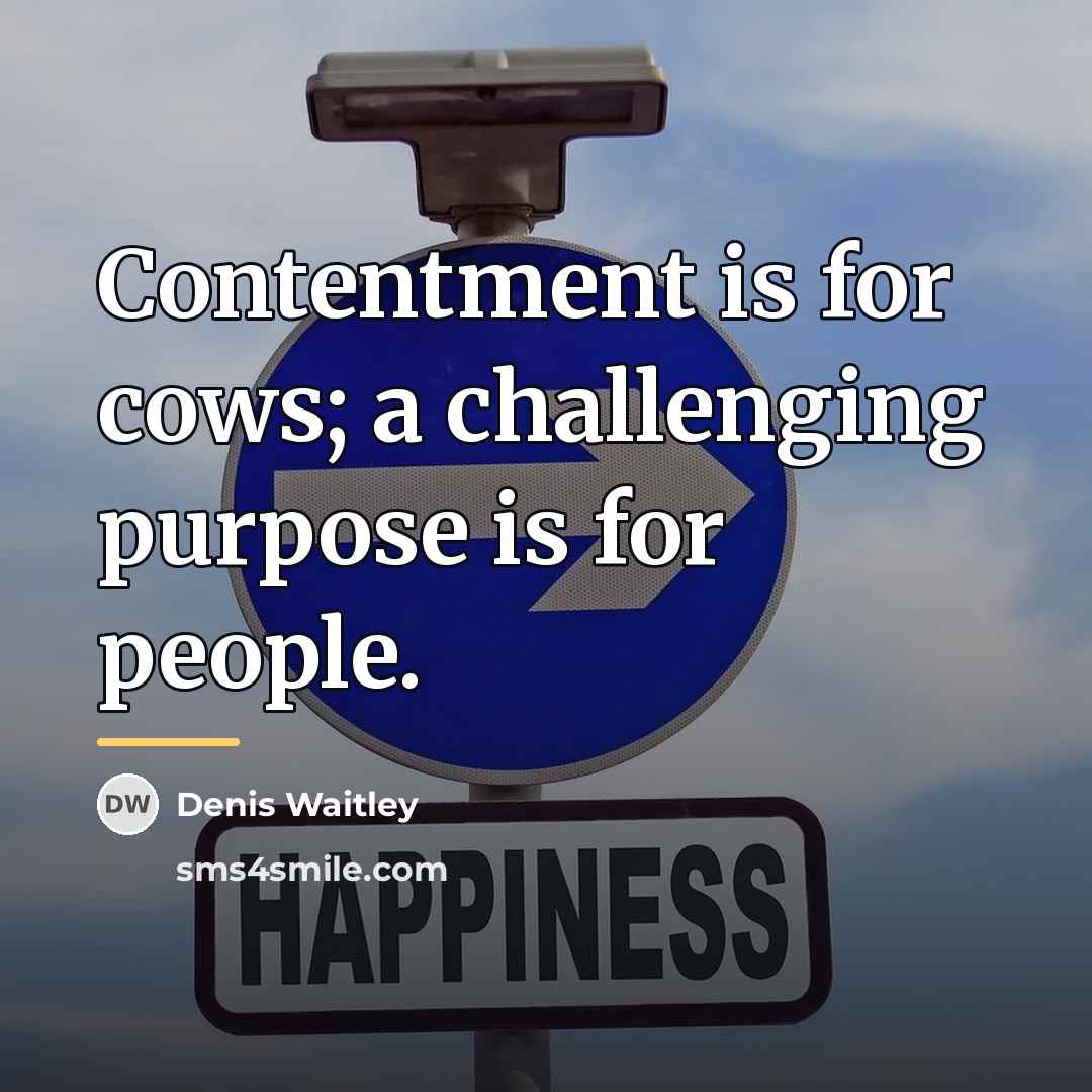 “Contentment is for cows; a challenging purpose is for people.…” quote by Denis Waitley