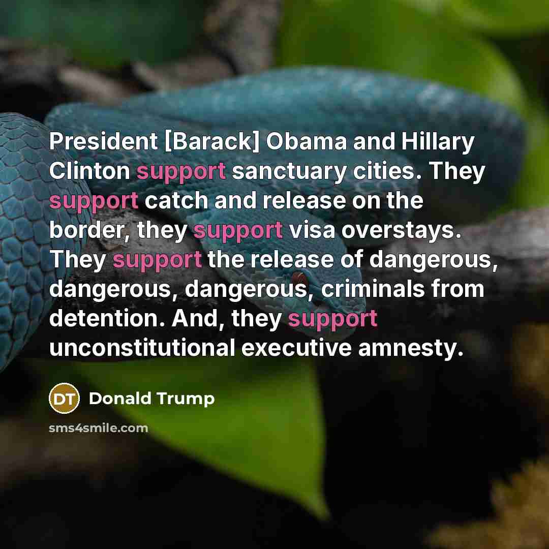 “President [Barack] Obama and Hillary Clinton support sanctuary cities. They…” quote by Donald Trump