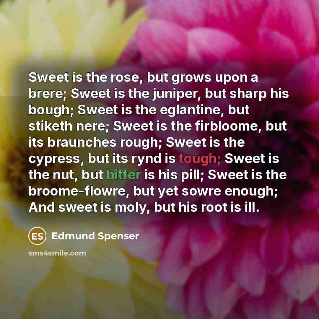 “Sweet is the rose, but grows upon a brere; Sweet…” quote by Edmund Spenser