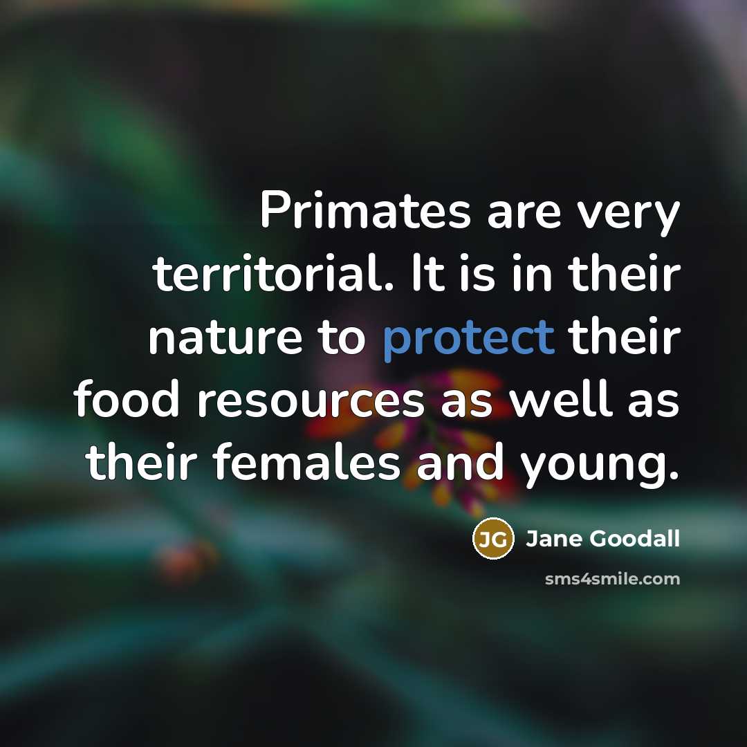 “Primates are very territorial. It is in their nature to…” quote by Jane Goodall