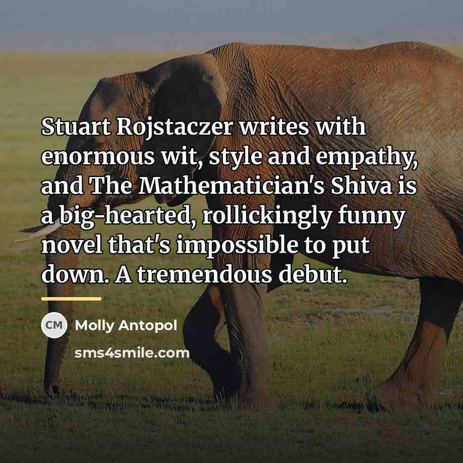“Stuart Rojstaczer writes with enormous wit, style and empathy, and…” quote by Molly Antopol