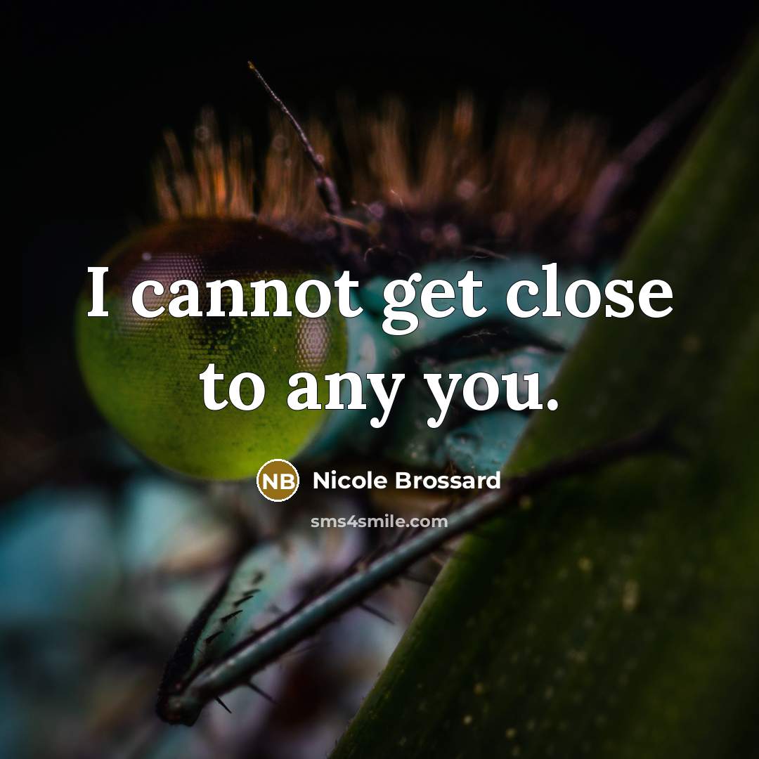 “I cannot get close to any you.…” quote by Nicole Brossard