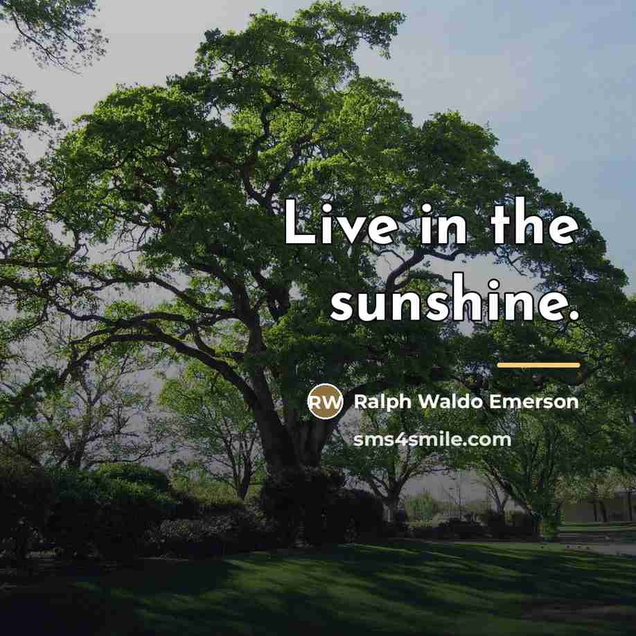“Live in the sunshine.…” quote by Ralph Waldo Emerson