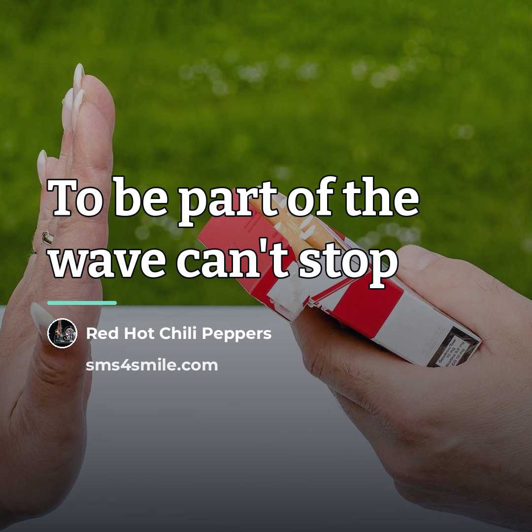 “To be part of the wave can't stop…” quote by Red Hot Chili Peppers