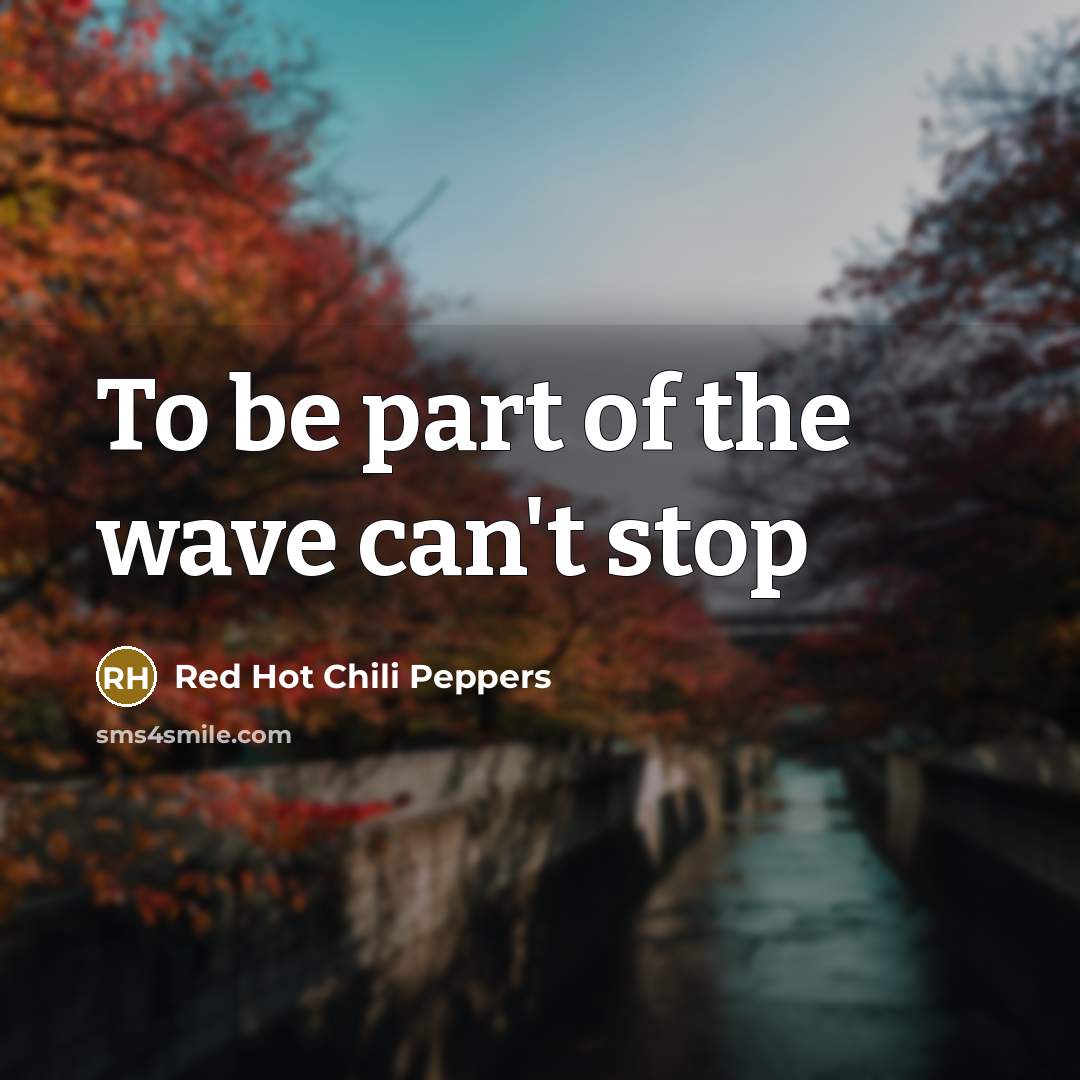 “To be part of the wave can't stop” quote by Red Hot Chili Peppers