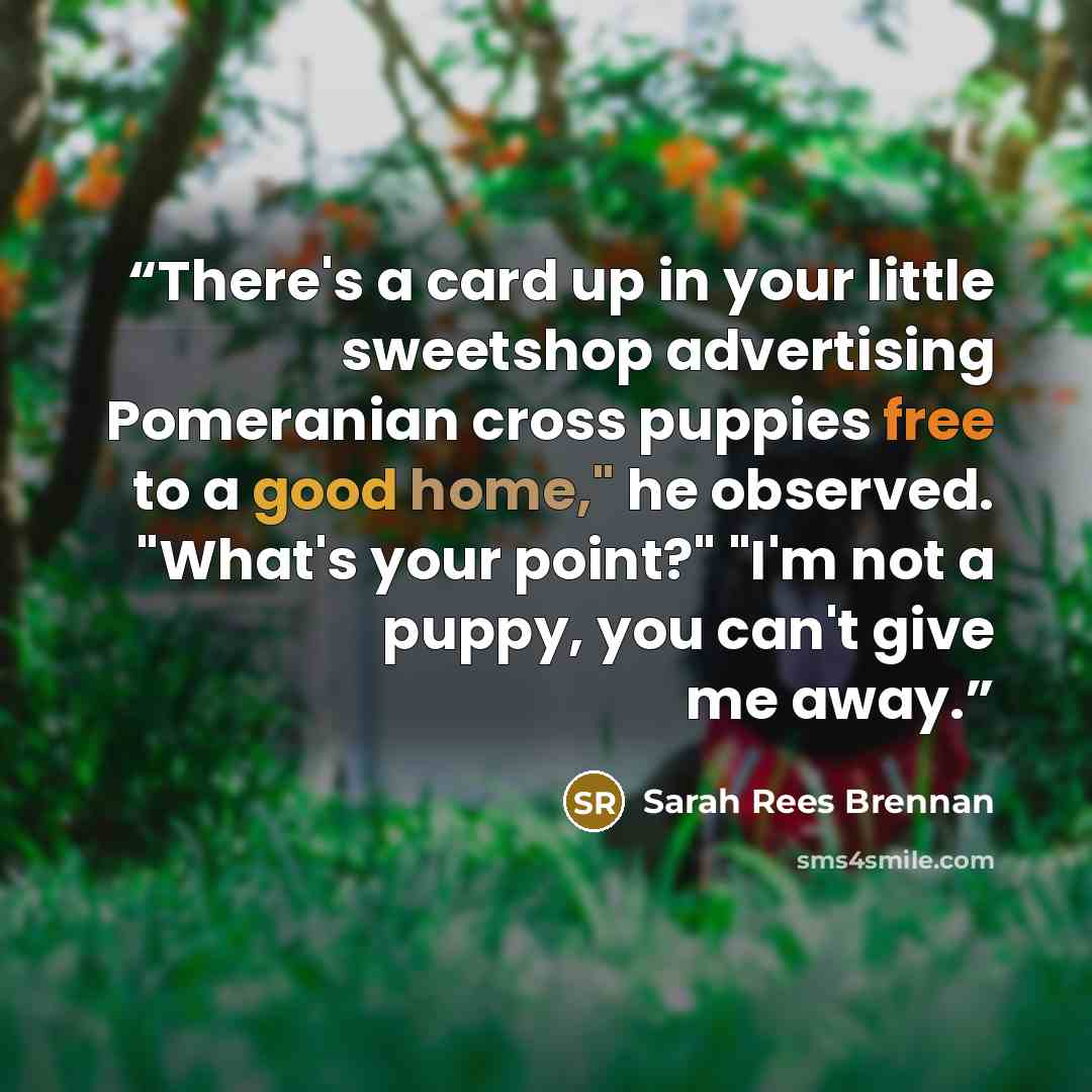 “There's a card up in your little sweetshop advertising Pomeranian cross puppies free to a good home," he observed. "What's your point?" "I'm not a puppy, you can't give me away.” quote by Sarah Rees Brennan