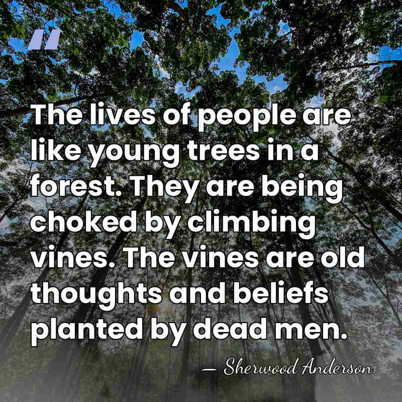 The lives of people are like young trees in a forest. They&hellip; - Sherwood Anderson