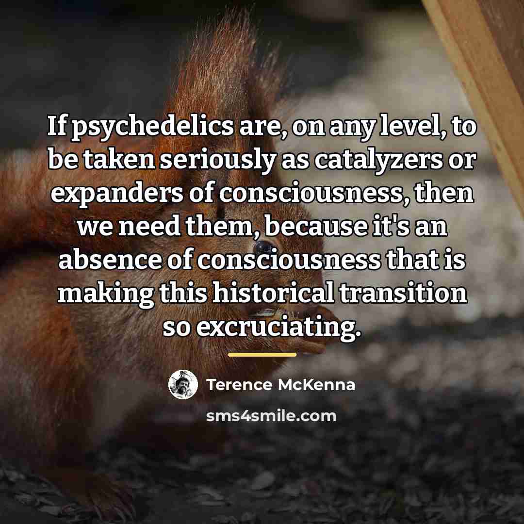 “If psychedelics are, on any level, to be taken seriously…” quote by Terence McKenna