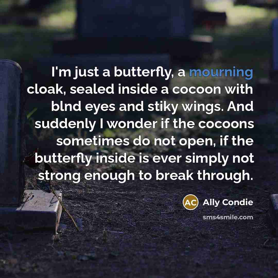 “I'm just a butterfly, a mourning cloak, sealed inside a…” quote by Ally Condie