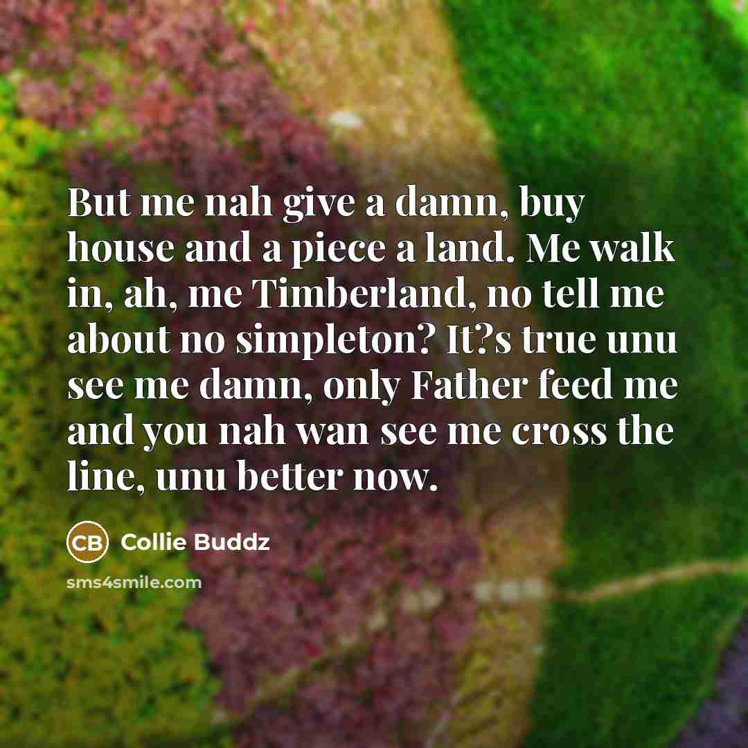 “But me nah give a damn, buy house and a…” quote by Collie Buddz