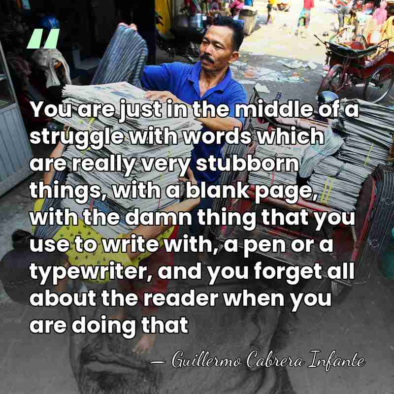 You are just in the middle of a struggle with words which&hellip; - Guillermo Cabrera Infante