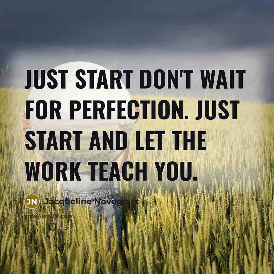 “Just start Don't wait for perfection. Just start and let…” quote by Jacqueline Novogratz