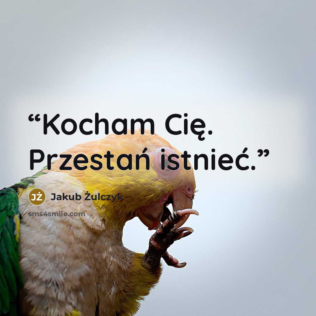 “Kocham Cię. Przestań istnieć.” quote by Jakub Żulczyk