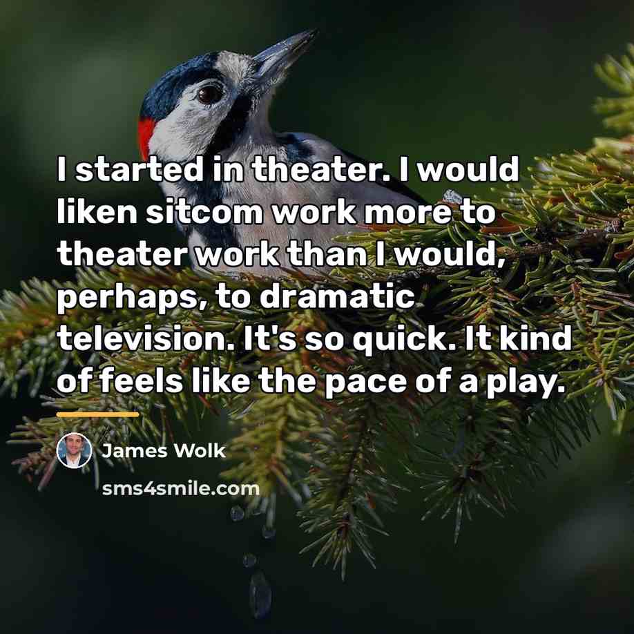 “I started in theater. I would liken sitcom work more…” quote by James Wolk