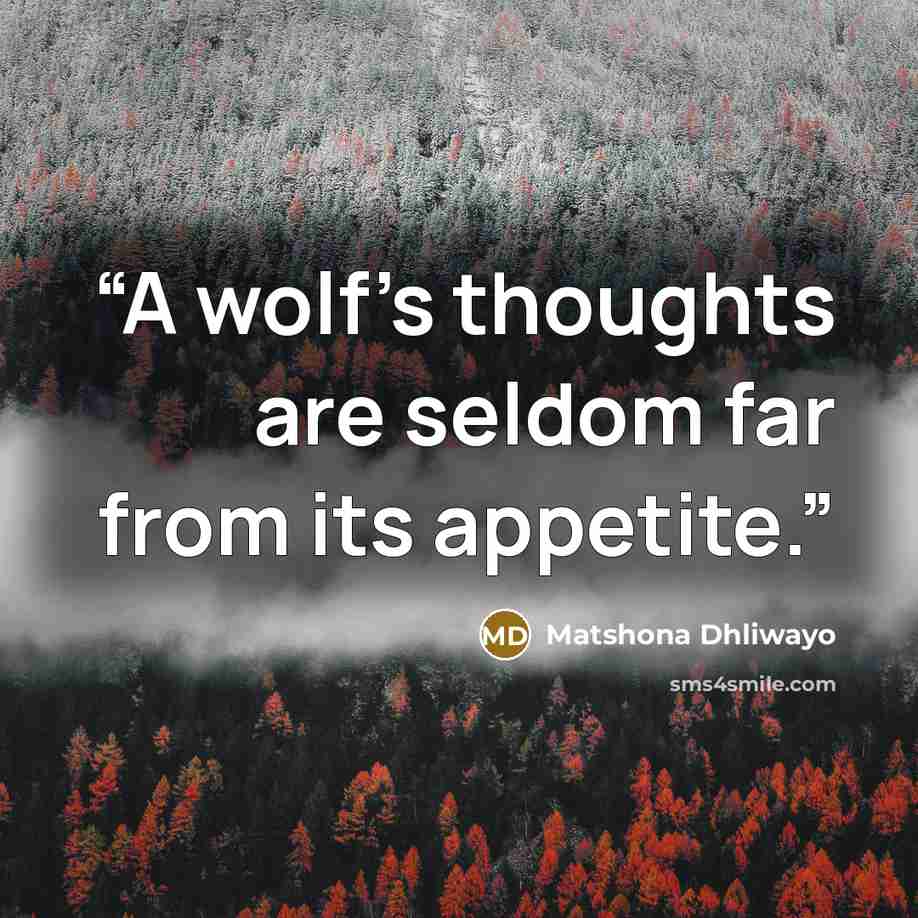 “A wolf's thoughts are seldom far from its appetite.” quote by Matshona Dhliwayo