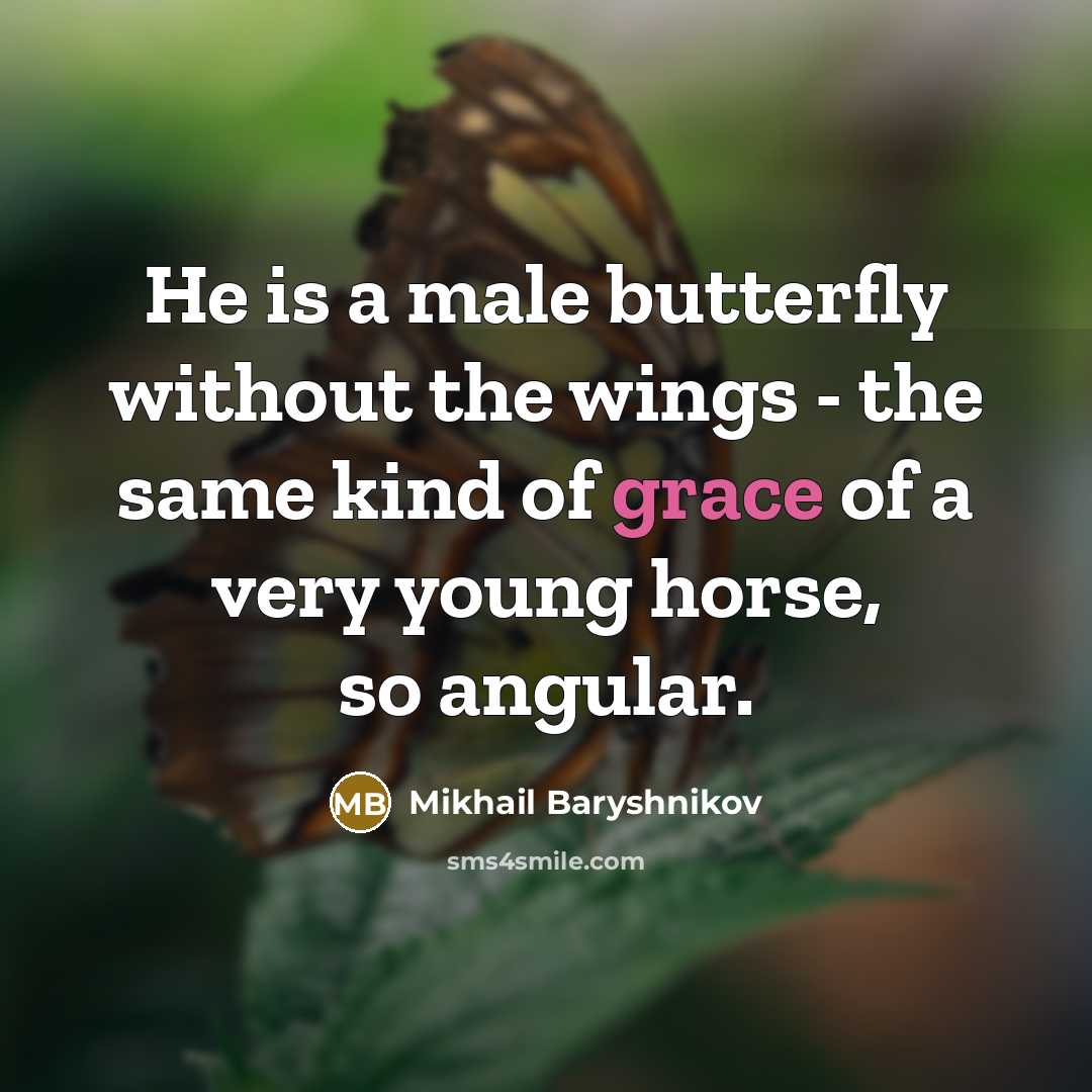 “He is a male butterfly without the wings - the…” quote by Mikhail Baryshnikov