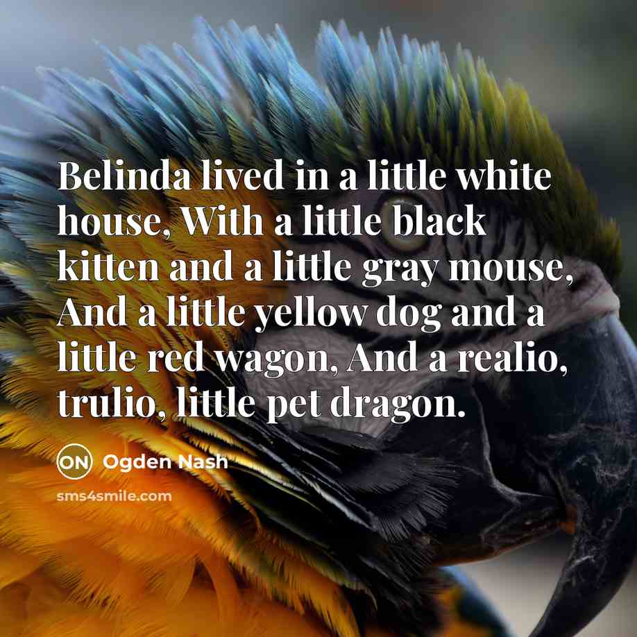 “Belinda lived in a little white house, With a little black kitten and a little gray mouse, And a little yellow dog and a little red wagon, And a realio, trulio, little pet dragon.” quote by Ogden Nash