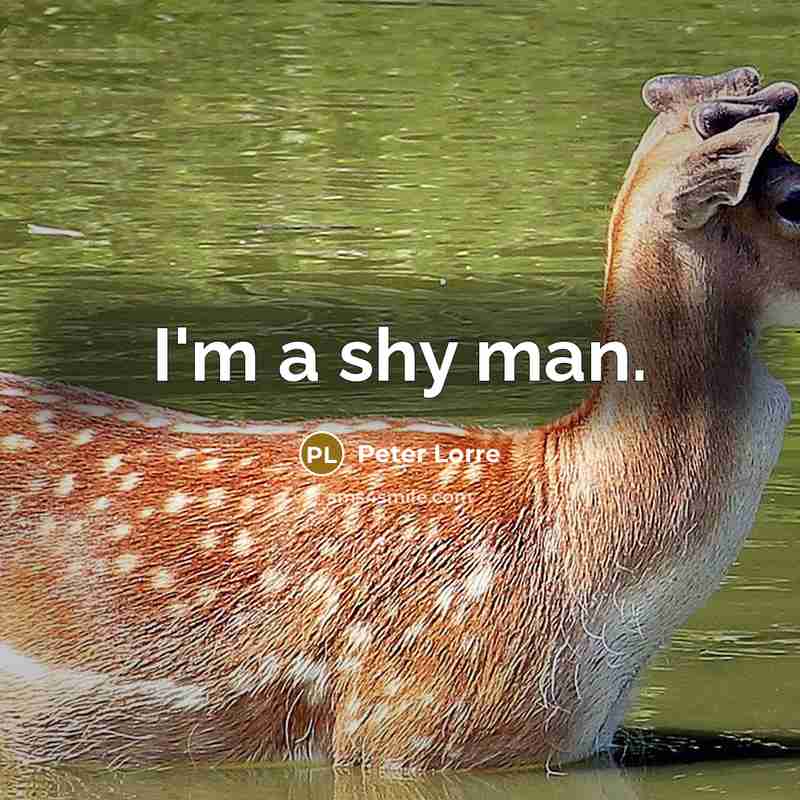 “I'm a shy man.…” quote by Peter Lorre