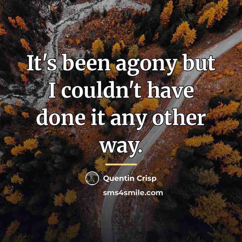 “It's been agony but I couldn't have done it any…” quote by Quentin Crisp