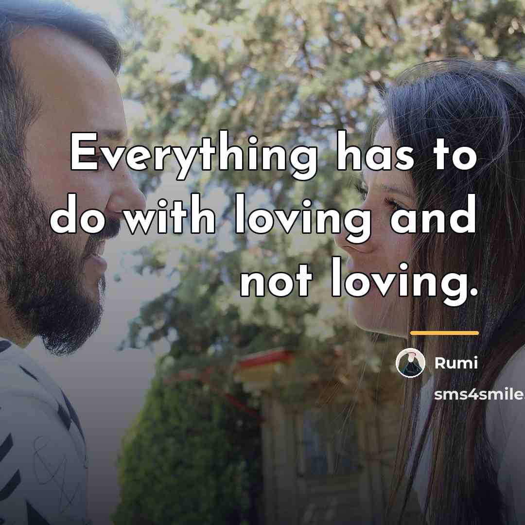 “Everything has to do with loving and not loving.…” quote by Rumi