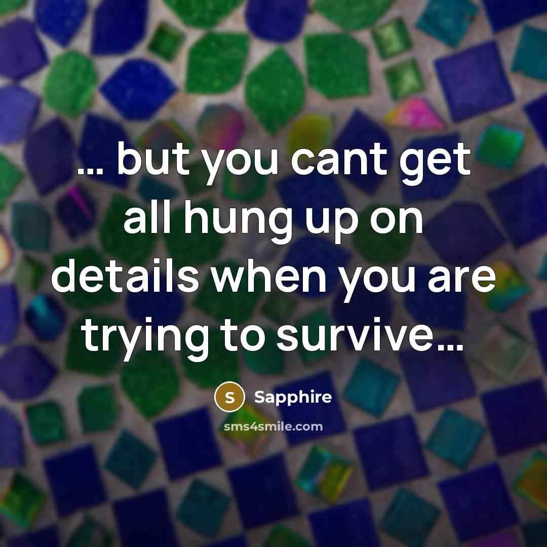 “but you cant get all hung up on details…” quote by Sapphire