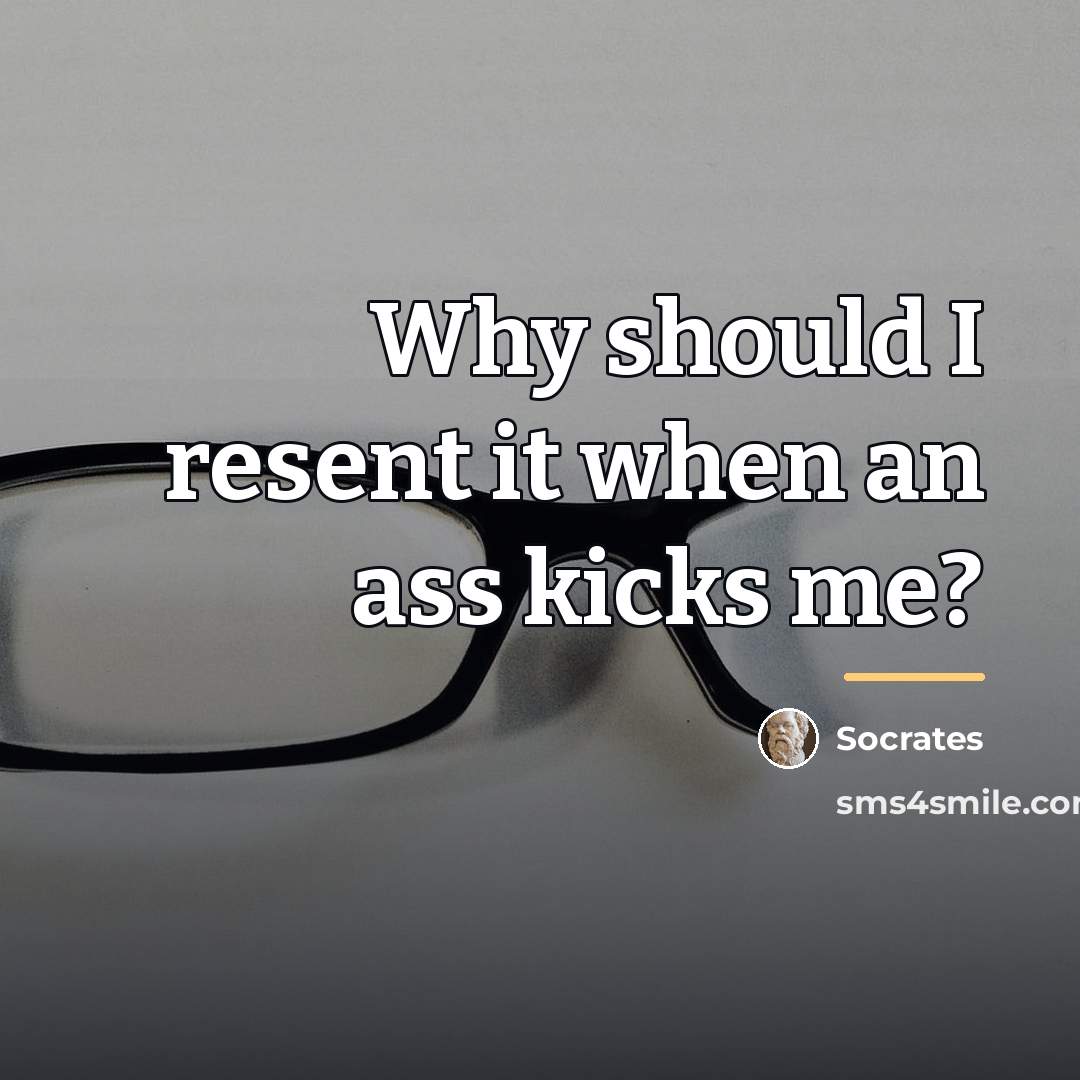 “Why should I resent it when an ass kicks me?…” quote by Socrates