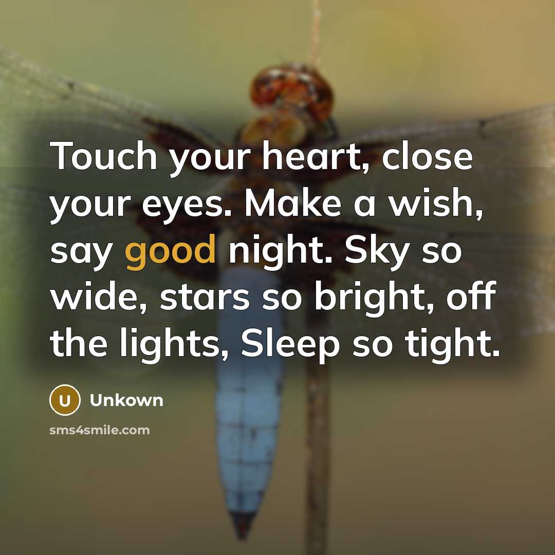 “Touch your heart, close your eyes. Make a wish, say…” quote by Unkown