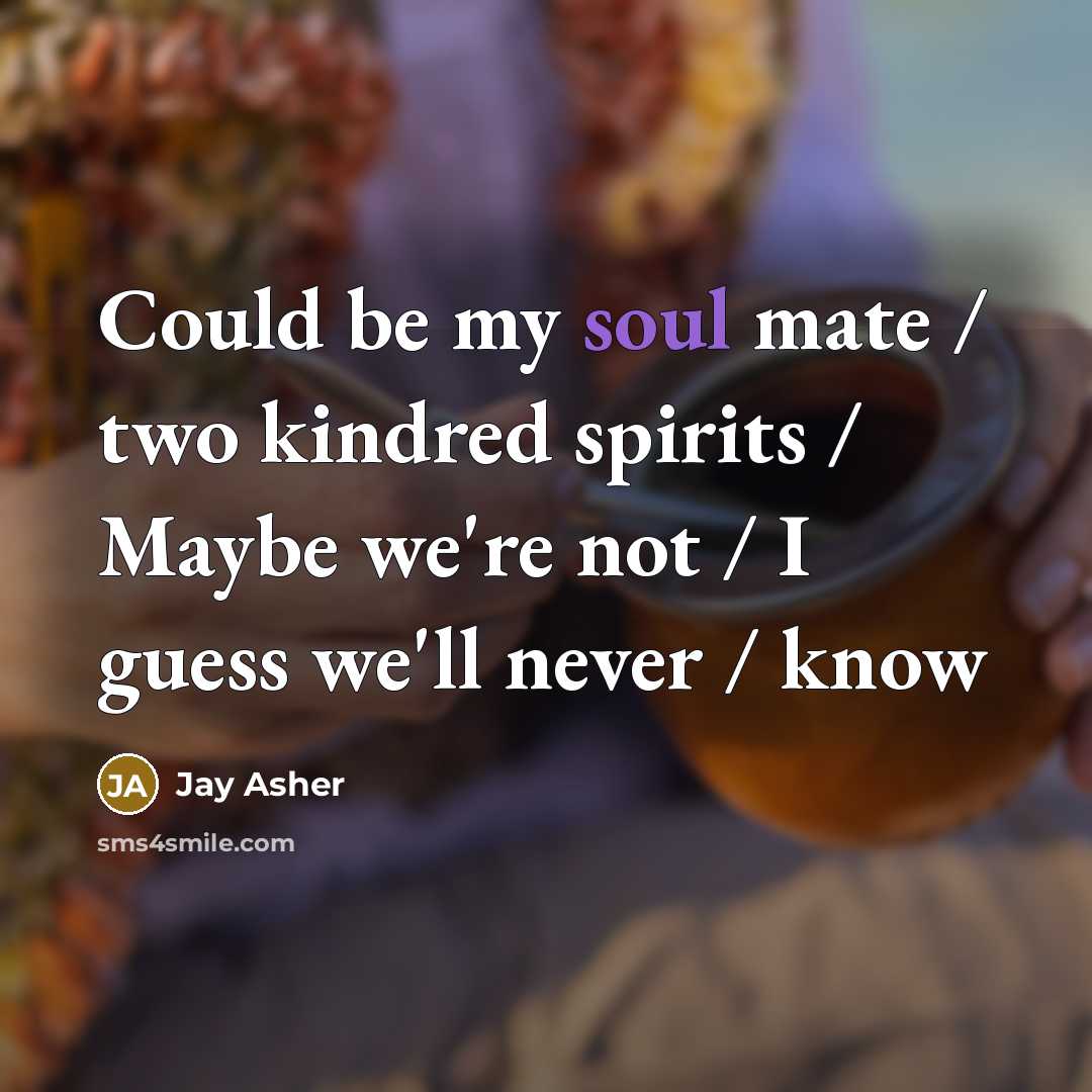 “Could be my soul mate / two kindred spirits /…” quote by Jay Asher