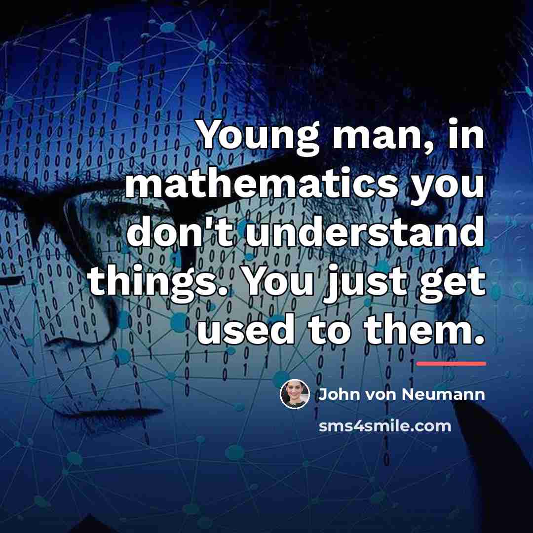 “Young man, in mathematics you don't understand things. You just…” quote by John von Neumann