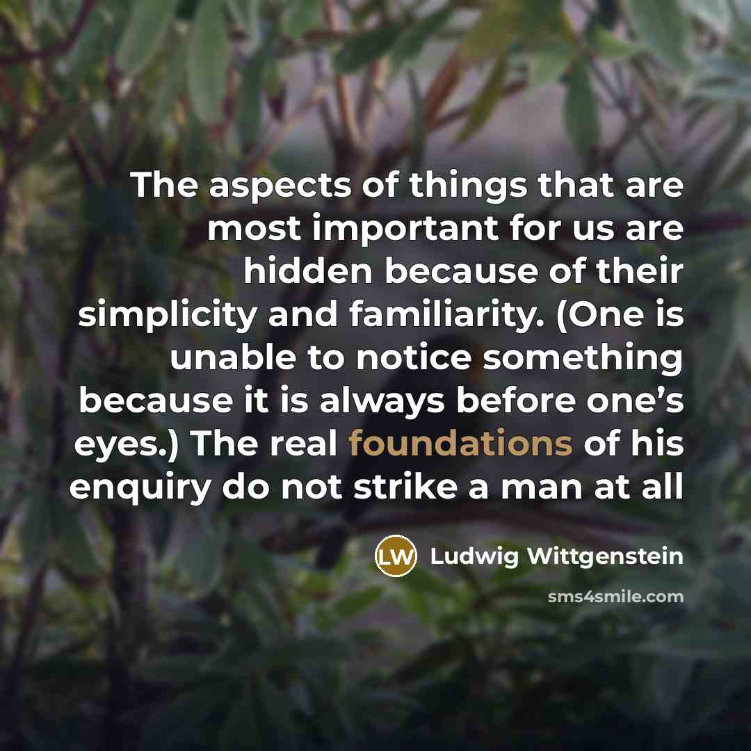 “The aspects of things that are most important for us…” quote by Ludwig Wittgenstein