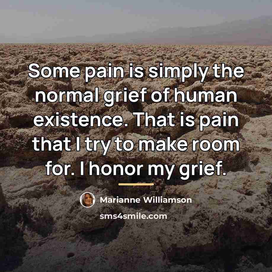 “Some pain is simply the normal grief of human existence.…” quote by Marianne Williamson