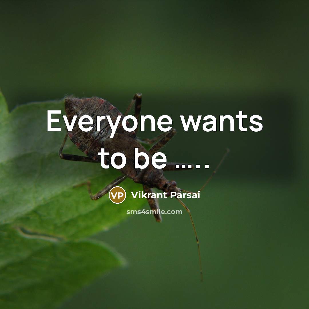 “Everyone wants to be …..” quote by Vikrant Parsai