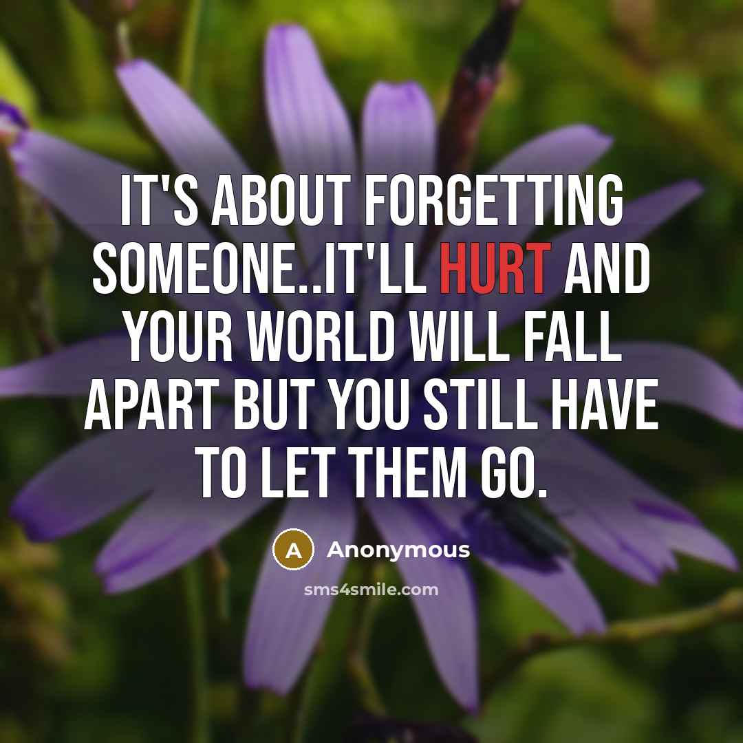 “It's about forgetting someone..it'll hurt and your world will fall apart but you still have to let them go.” quote by Anonymous