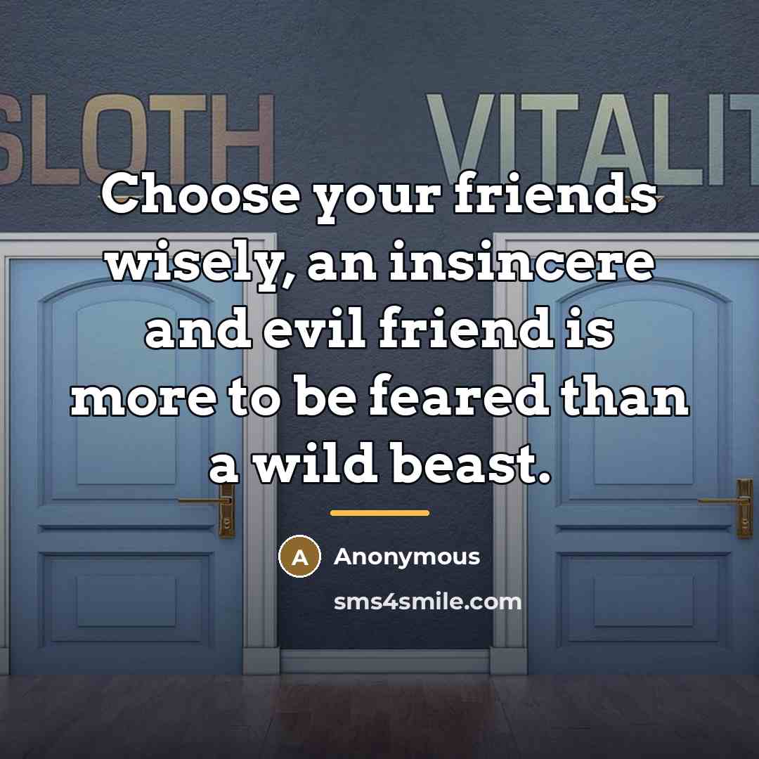 “Choose your friends wisely, an insincere and evil friend is…” quote by Anonymous