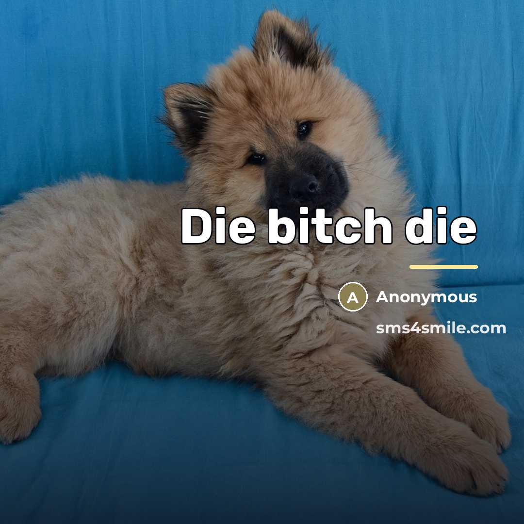 “Die bitch die…” quote by Anonymous