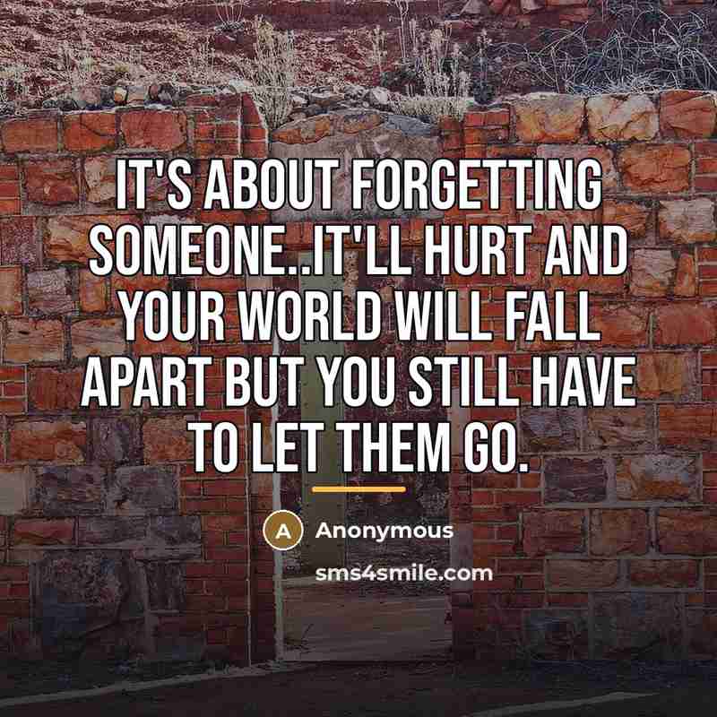 “It's about forgetting someone..it'll hurt and your world will fall…” quote by Anonymous