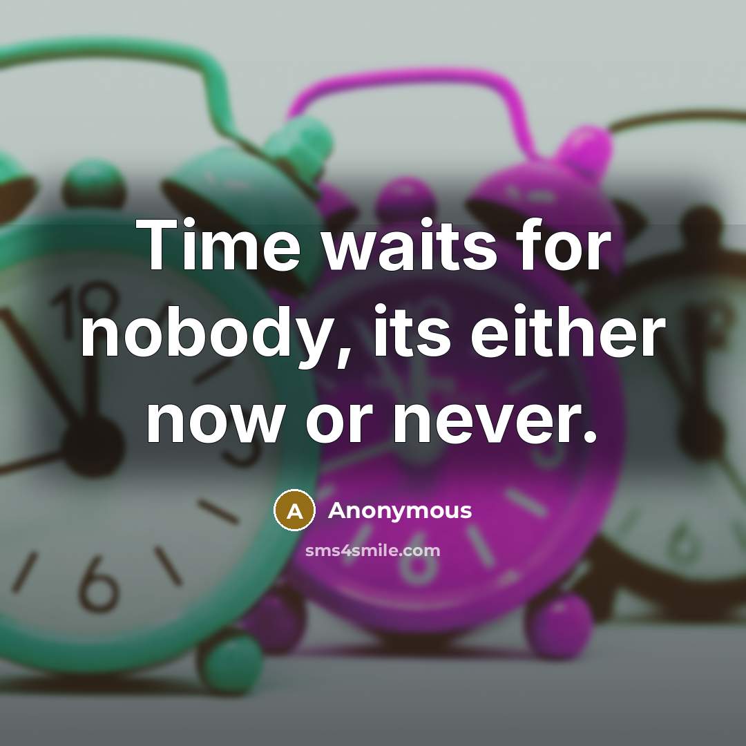 “Time waits for nobody, its either now or never.” quote by Anonymous