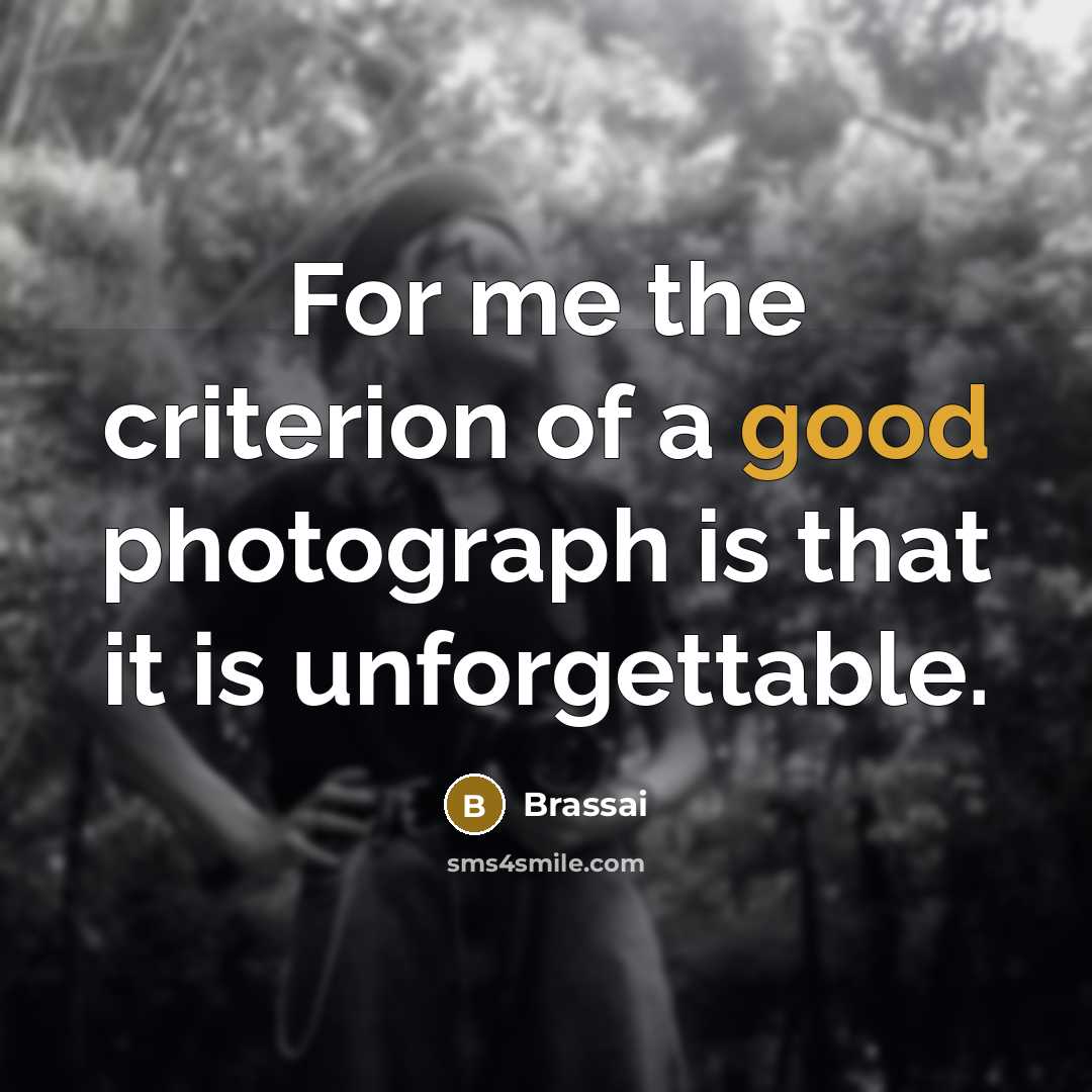 “For me the criterion of a good photograph is that…” quote by Brassai