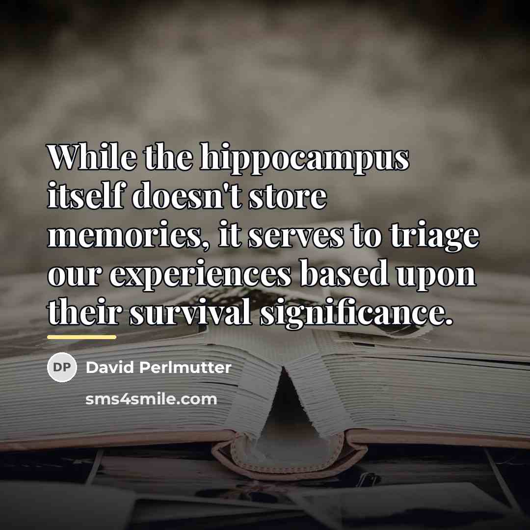 “While the hippocampus itself doesn't store memories, it serves to…” quote by David Perlmutter